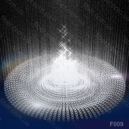 f009