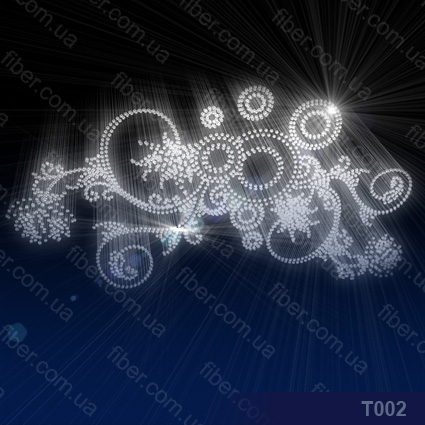 t002