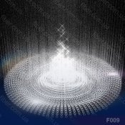 f009
