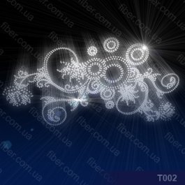 t002