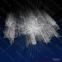 t003